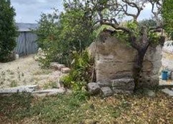 Giardino - Terreno edificabile VIA CAPITANO RIZZO
 
98, Trapani - foto 9