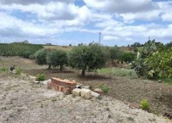 Giardino - Terreno edificabile VIA CAPITANO RIZZO
 
98, Trapani - foto 10