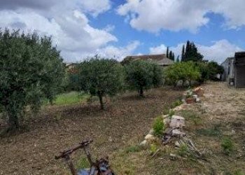 Giardino - Terreno edificabile VIA CAPITANO RIZZO
 
98, Trapani - foto 11