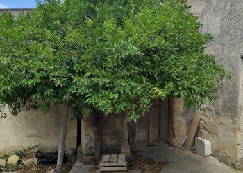 Giardino - Terreno edificabile VIA CAPITANO RIZZO
 
98, Trapani - foto 19