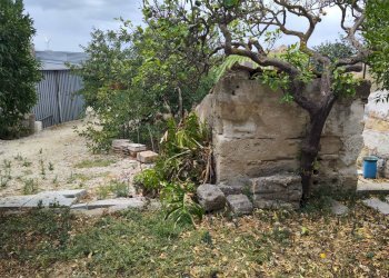 Giardino - Terreno edificabile VIA CAPITANO RIZZO
 
98, Trapani - foto 23