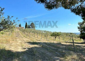 Giardino - Villa contrada Adragna, Sambuca di Sicilia - foto 6