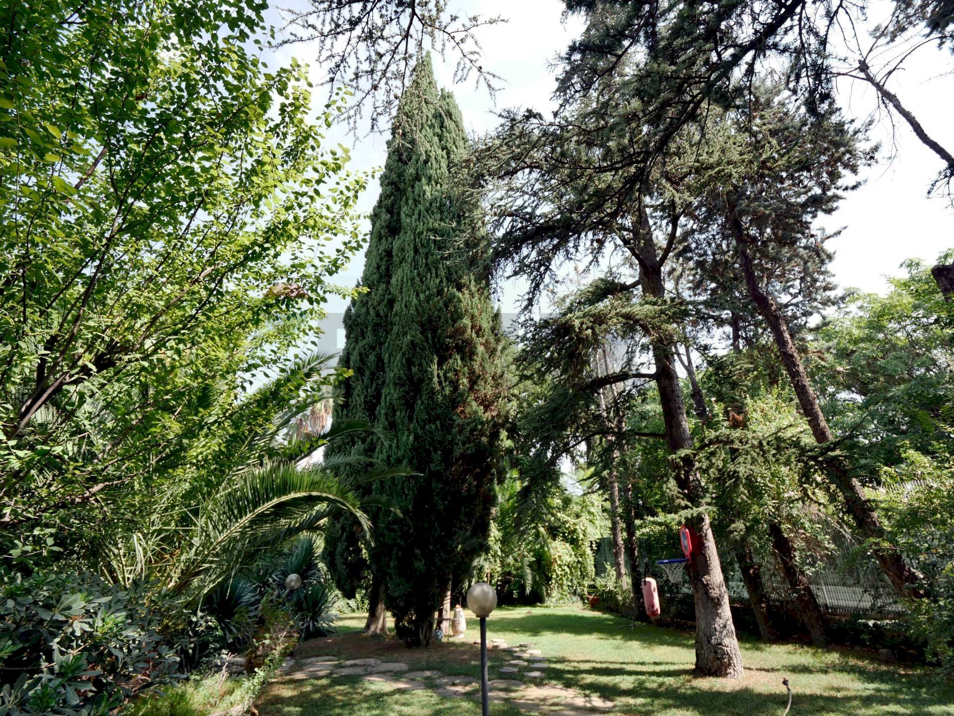 Giardino - Villa Via Bitritto
 
131, Bari - foto 3