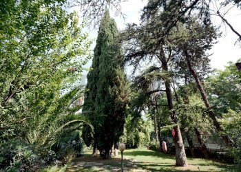 Giardino - Villa Via Bitritto
 
131, Bari - foto 3