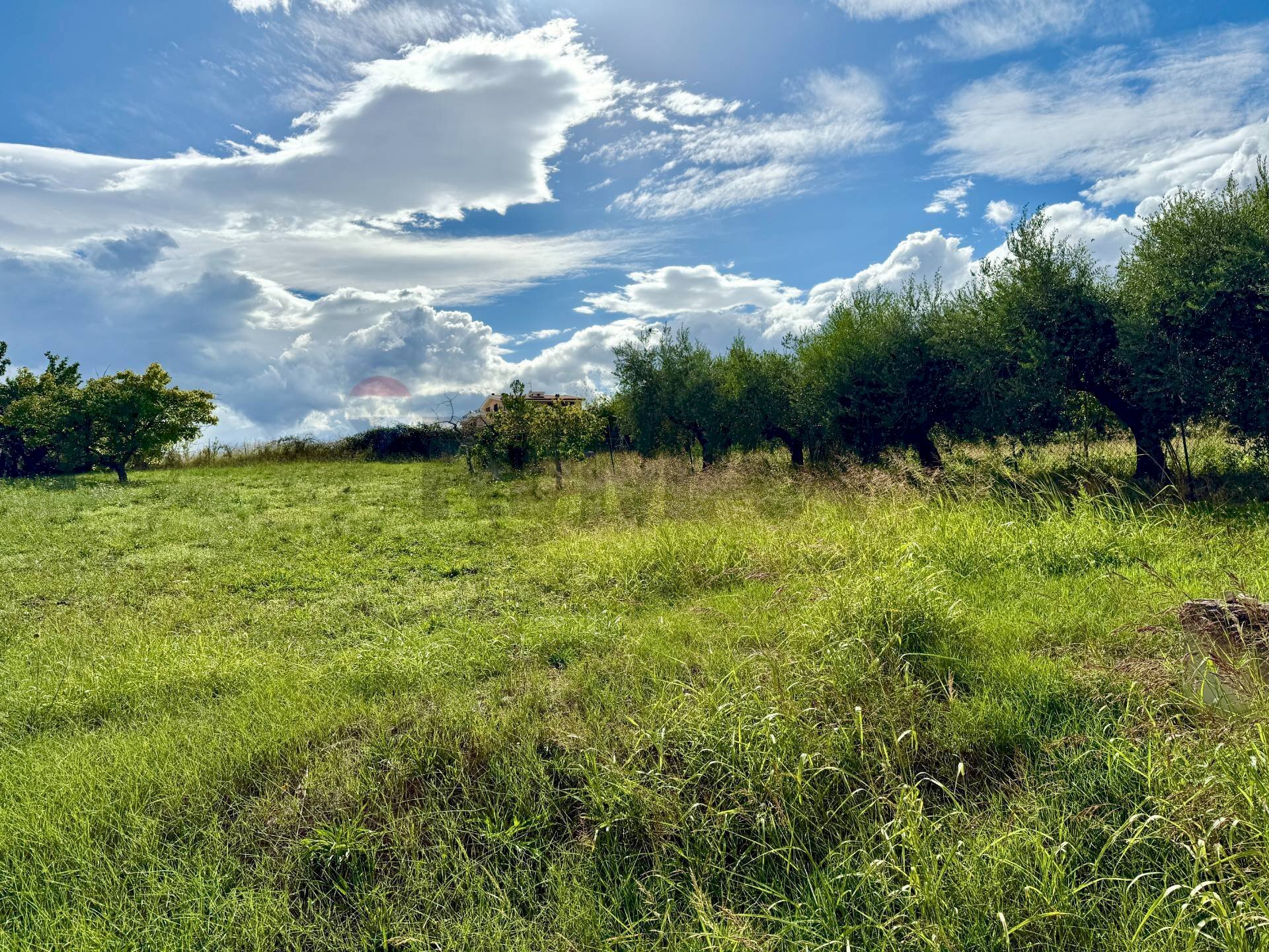 Giardino - Building land Via Roberto Nasuti, Città Sant'Angelo - photo 1