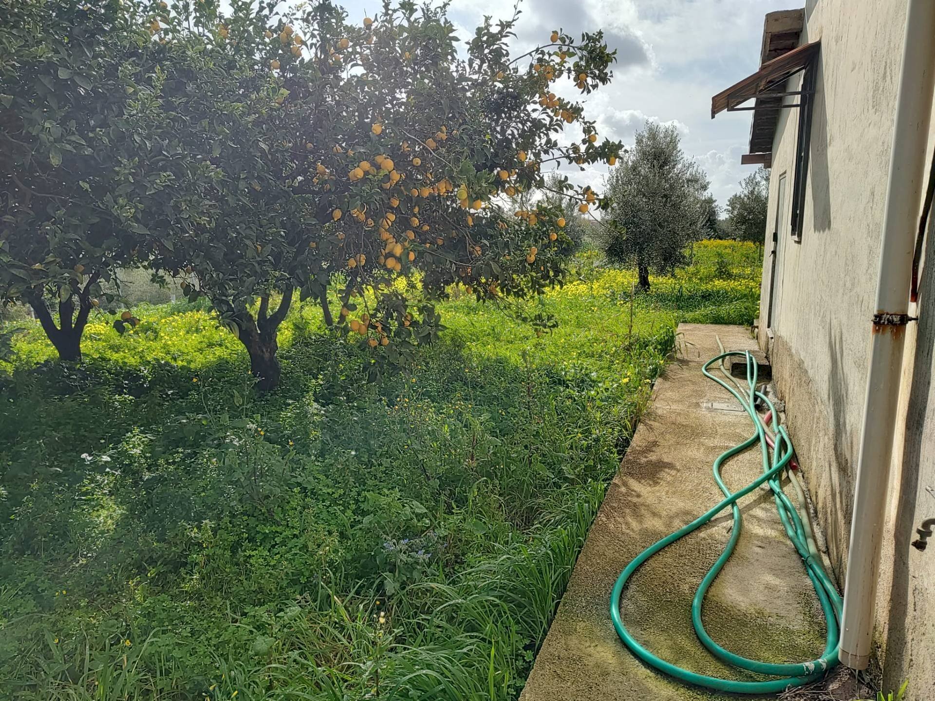 Foto 2 - Agricultural land Via Torre Paladino, Eboli - photo 2