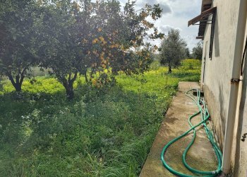 Foto 2 - Terreno agricolo Via Torre Paladino, Eboli - foto 2