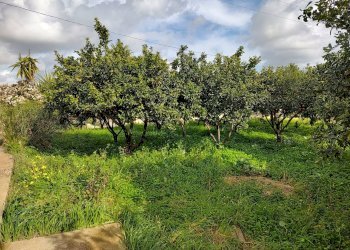 Foto 3 - Terreno agricolo Via Torre Paladino, Eboli - foto 3