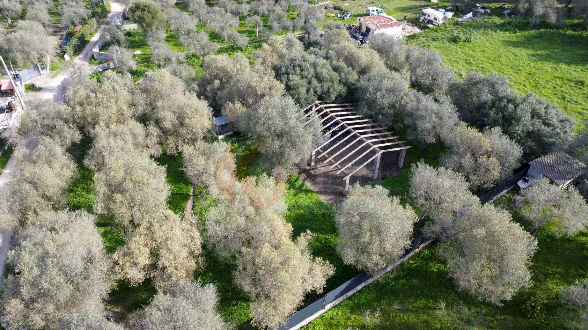Foto 1 - Agricultural land strada vicinale santu tettaru, Sassari - photo 1