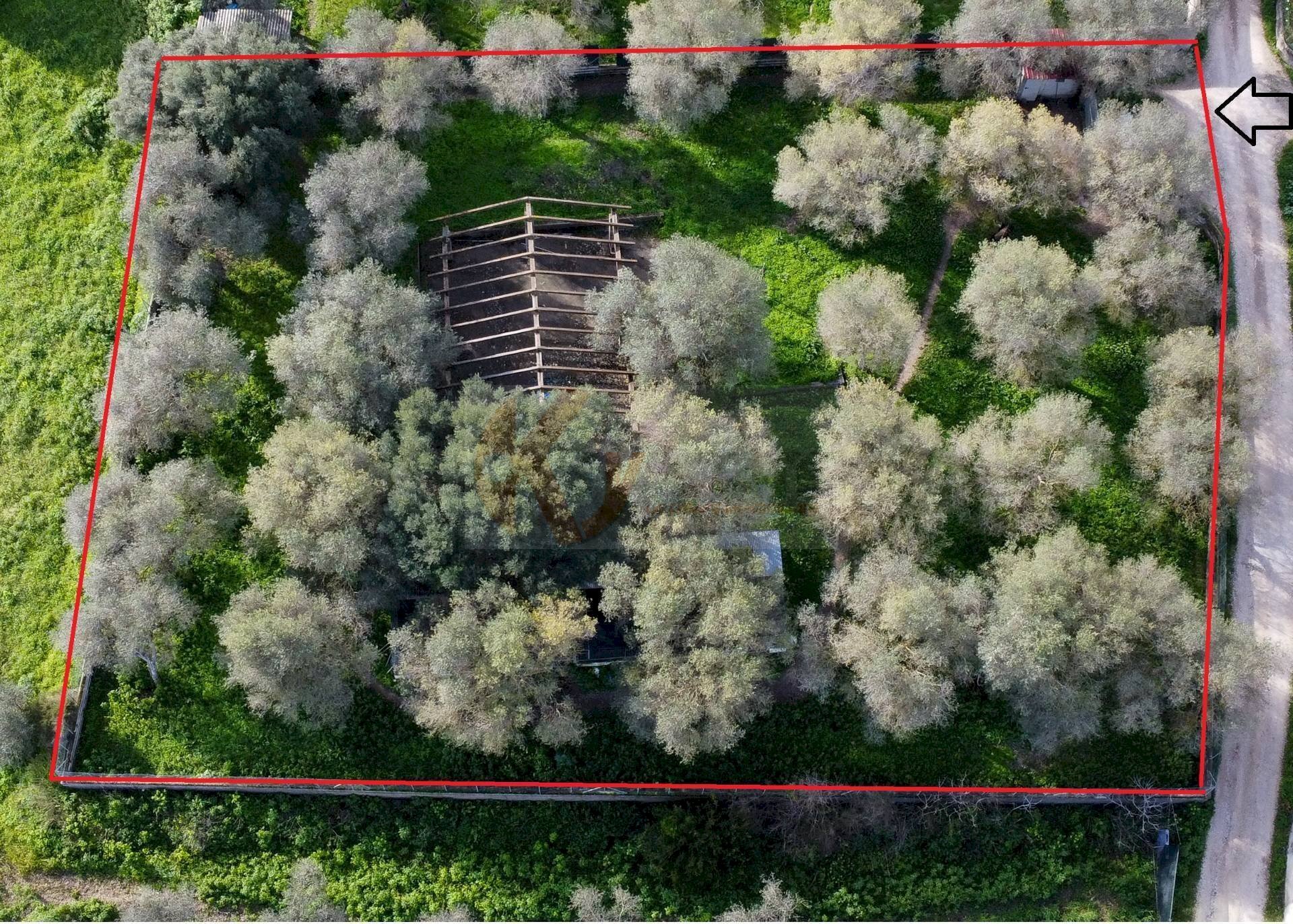 Foto 19 - Agricultural land strada vicinale santu tettaru, Sassari - floor plans 1