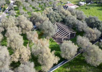 Foto 1 - Agricultural land strada vicinale santu tettaru, Sassari - photo 1