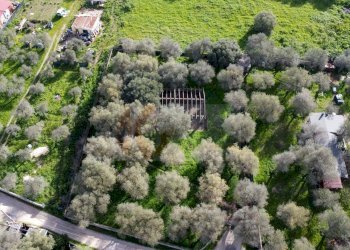 Foto 2 - Agricultural land strada vicinale santu tettaru, Sassari - photo 2