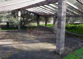 Foto 7 - Agricultural land strada vicinale santu tettaru, Sassari - photo 7