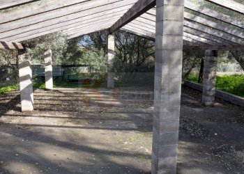 Foto 8 - Agricultural land strada vicinale santu tettaru, Sassari - photo 8