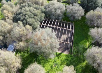 Foto 9 - Agricultural land strada vicinale santu tettaru, Sassari - photo 9