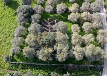 Foto 11 - Agricultural land strada vicinale santu tettaru, Sassari - photo 11