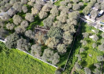 Foto 12 - Agricultural land strada vicinale santu tettaru, Sassari - photo 12