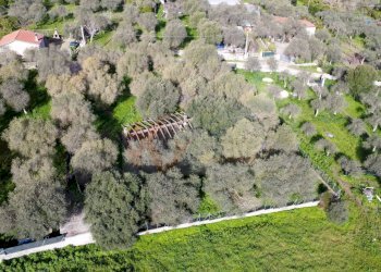 Foto 13 - Agricultural land strada vicinale santu tettaru, Sassari - photo 13