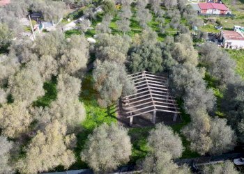 Foto 14 - Agricultural land strada vicinale santu tettaru, Sassari - photo 14