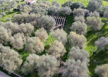 Foto 15 - Agricultural land strada vicinale santu tettaru, Sassari - photo 15