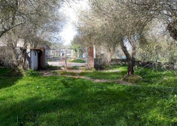 Foto 16 - Agricultural land strada vicinale santu tettaru, Sassari - photo 16