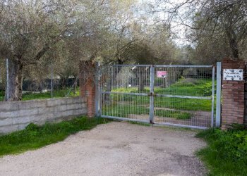 Foto 17 - Agricultural land strada vicinale santu tettaru, Sassari - photo 17