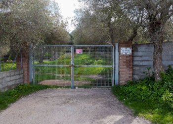 Foto 18 - Agricultural land strada vicinale santu tettaru, Sassari - photo 18