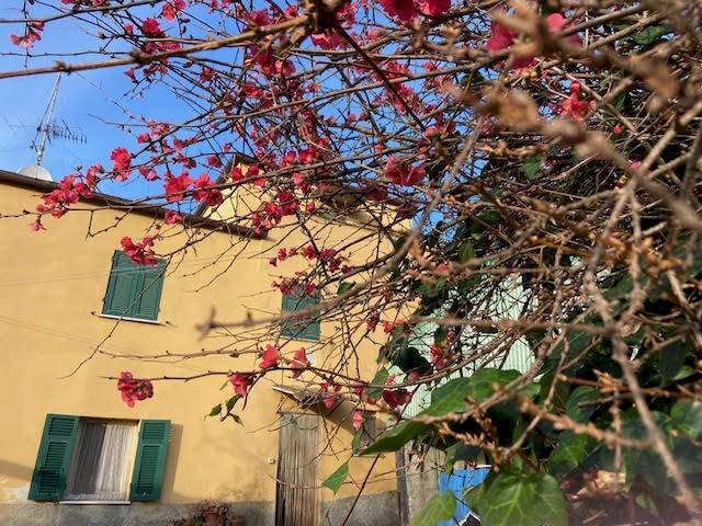 Foto 2 - Independent house via dei Carabigi, Albisola Superiore - photo 2