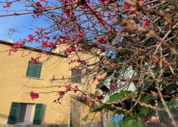 Foto 2 - Independent house via dei Carabigi, Albisola Superiore - photo 2