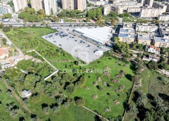 Foto 3 - Terreno agricolo VIALE MICHELANGELO, Palermo - foto 3