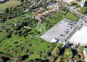 Foto 5 - Terreno agricolo VIALE MICHELANGELO, Palermo - foto 5