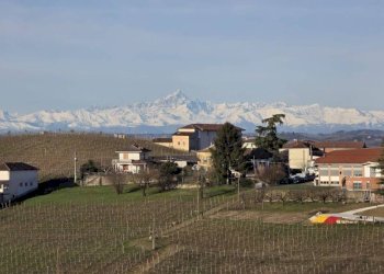 Terreno - Villa via Roma, Vigliano d'Asti - foto 32