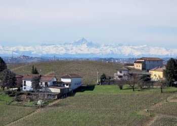 Terreno - Villa via Roma, Vigliano d'Asti - foto 34