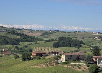 Villa via Roma, Vigliano d'Asti - foto 52
