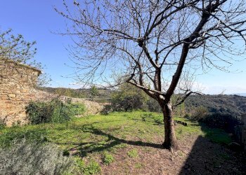 Foto 11 - Appartamento VICOLO DI PORTA NUOVA, Magliano in Toscana - foto 11