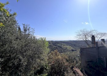 Foto 12 - Appartamento VICOLO DI PORTA NUOVA, Magliano in Toscana - foto 12