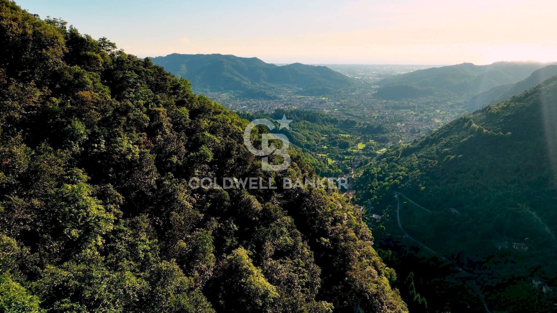 Foto 1 - Terreno agricolo Località Candalla, Camaiore - foto 1