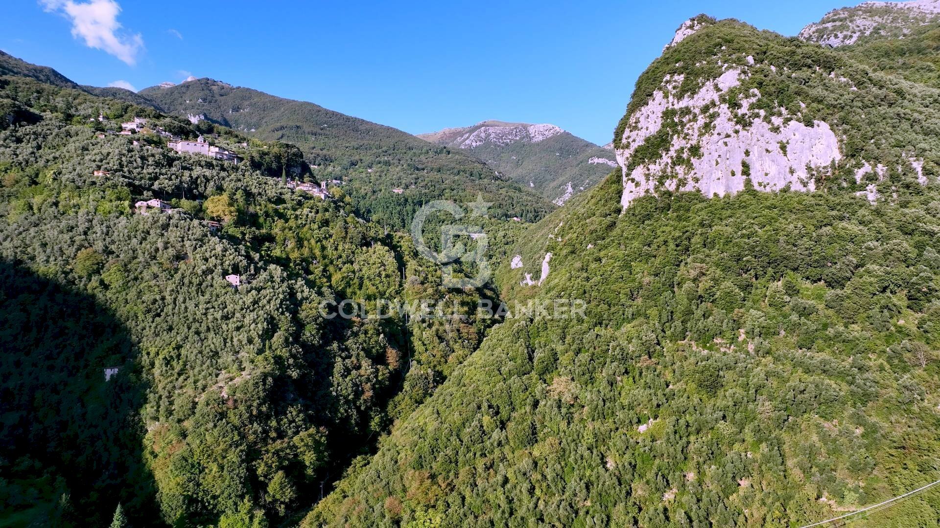 Foto 2 - Terreno agricolo Località Candalla, Camaiore - foto 2