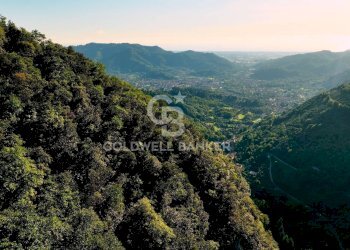 Foto 1 - Agricultural land Località Candalla, Camaiore - photo 1