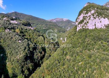 Foto 2 - Agricultural land Località Candalla, Camaiore - photo 2