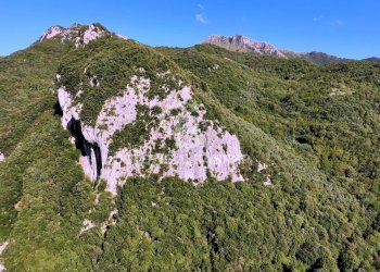 Foto 3 - Agricultural land Località Candalla, Camaiore - photo 3