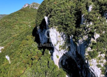 Foto 4 - Agricultural land Località Candalla, Camaiore - photo 4