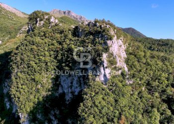 Foto 6 - Agricultural land Località Candalla, Camaiore - photo 6