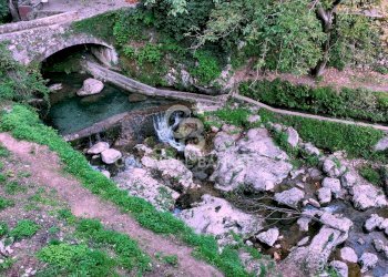 Foto 7 - Agricultural land Località Candalla, Camaiore - photo 7