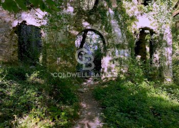 Foto 9 - Agricultural land Località Candalla, Camaiore - photo 9