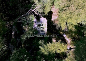 Foto 10 - Agricultural land Località Candalla, Camaiore - photo 10