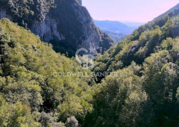 Foto 11 - Agricultural land Località Candalla, Camaiore - photo 11