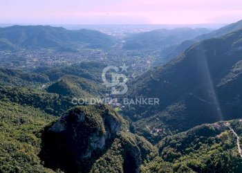 Foto 12 - Agricultural land Località Candalla, Camaiore - photo 12