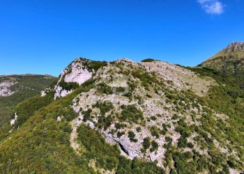 Foto 13 - Agricultural land Località Candalla, Camaiore - photo 13