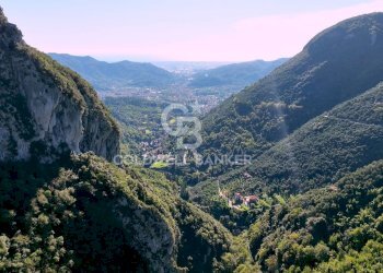 Foto 14 - Agricultural land Località Candalla, Camaiore - photo 14